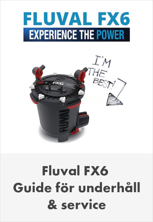 Fluval FX6 Guide