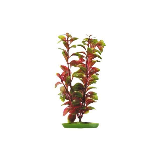 Marina Plastväxt - Red Ludwigia - 20 cm